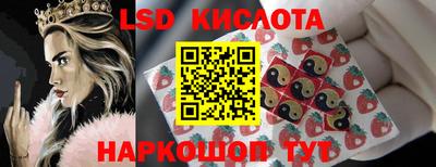 прущие крисы Гатчина