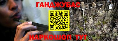 прущие крисы Гатчина