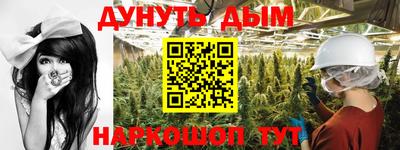 прущие крисы Гатчина