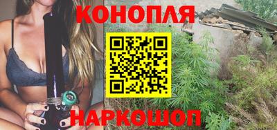 прущие крисы Гатчина