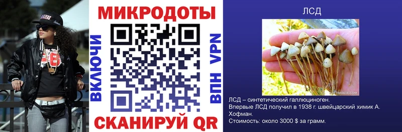 магазин    мориарти формула  Галлюциногенные грибы Magic Shrooms  Балашов 