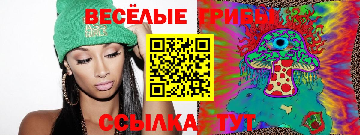 Псилоцибиновые грибы ЛСД  Галлюциногенные грибы GOLDEN TEACHER  Балашов  Вход с VPN 