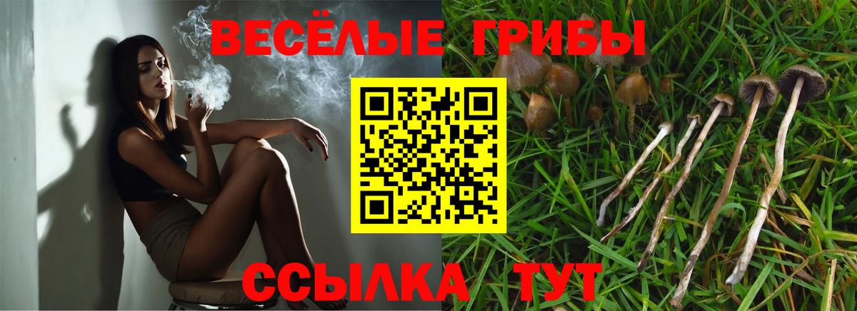 Псилоцибиновые грибы GOLDEN TEACHER Балашов